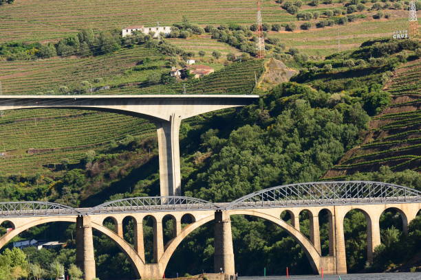 istock Along the Douro River, wine country 1088522864