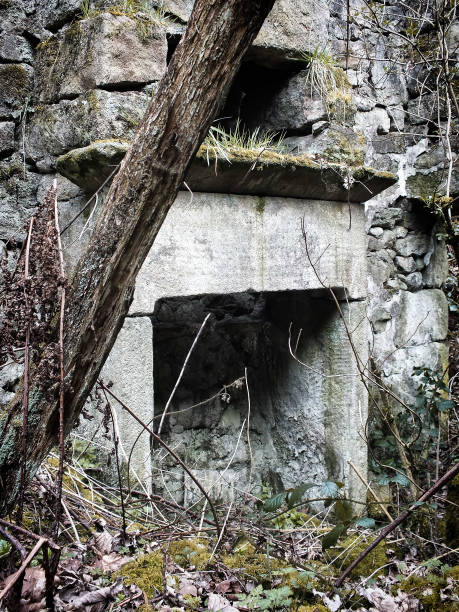 istock ruined abandoned stone house with trees and vegetation growing inside and a large stone fireplace 1088523154