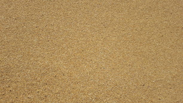 istock natural sand texture , background , close up golden beach 1088526558