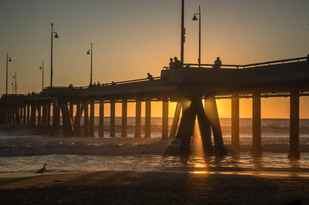 istock Sunset at Venice Pier in Venice, CA 1088533930