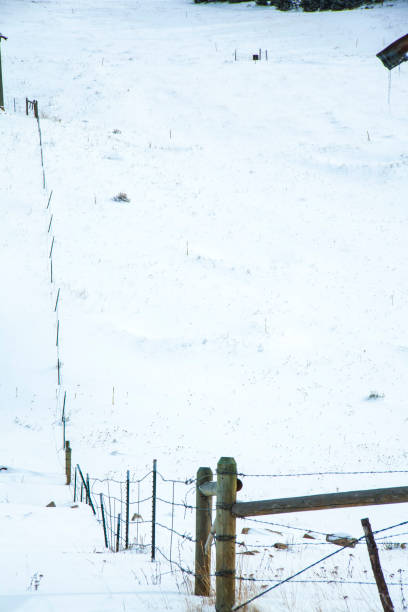 istock A Fence Along a Snowy Hill 1088534136