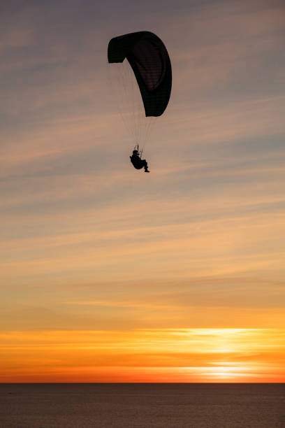 istock Paragliding at the Black beach, San Diego 1088543864