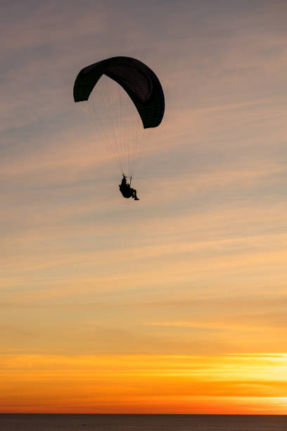 istock Paragliding at the Black beach, San Diego 1088543868