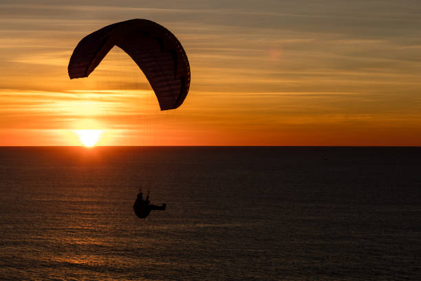 istock Paragliding at the Black beach, San Diego 1088543928