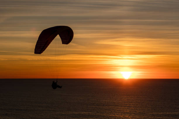 istock Paragliding at the Black beach, San Diego 1088543940