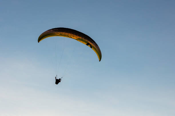 istock Paragliding at the Black beach, San Diego 1088543942