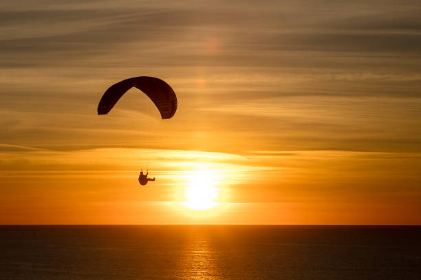 istock Paragliding at the Black beach, San Diego 1088543970