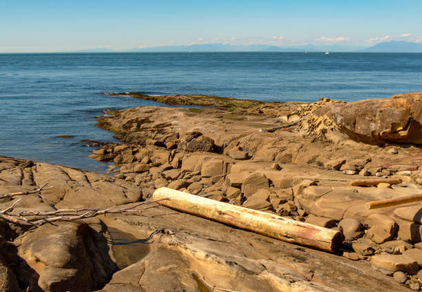 istock Out crop of rocks on Mayne Island 1088555628