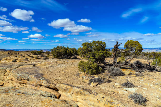 istock Top of the Ridge 1088568098