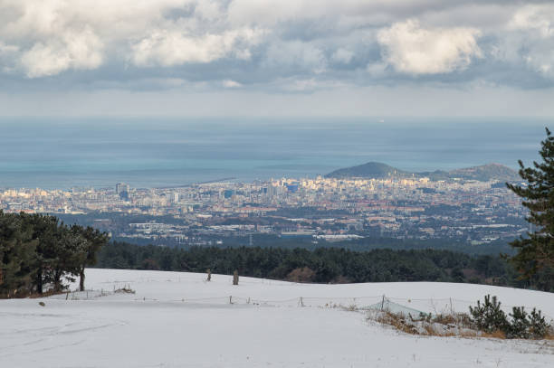 Winter in Jeju City Jeju Island Korea jeju city stock pictures, royalty-free photos & images