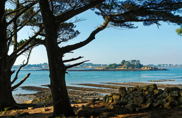 islands of the Morbihan gulf in Brittany coast