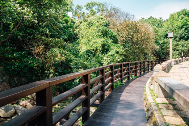 istock Beitou valley and walk trail in Taipei, Taiwan 1088622090