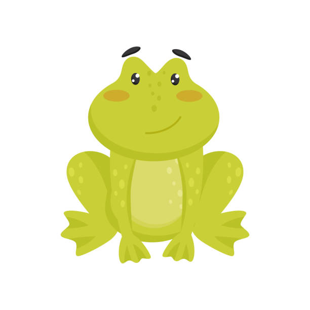 귀여운 웃는 개구리의 평면 벡터 아이콘입니다 분홍색 뺨과 빛나는 눈을 가진 재미 있는 녹색 두 꺼 비의 만화 캐릭터 개구리에 대한 스톡  벡터 아트 및 기타 이미지 - Istock