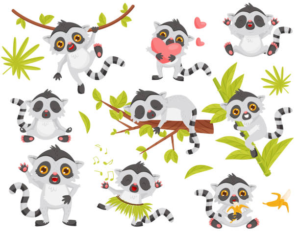 Flat vector set of cute lemur in different actions. Exotic animal with long tail and big shiny eyes Set of cute lemur in different actions. Exotic animal with long tail and big shiny eyes. Funny cartoon character. Graphic elements for children book or mobile game. Isolated flat vector illustrations. grass skirt stock illustrations
