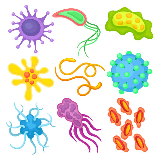 Flat vector set of different dangerous viruses. Pathogenic bacteria. Biology microorganism. Science and medicine theme Colorful vector illustrations in flat style isolated on white background. dna virus stock illustrations