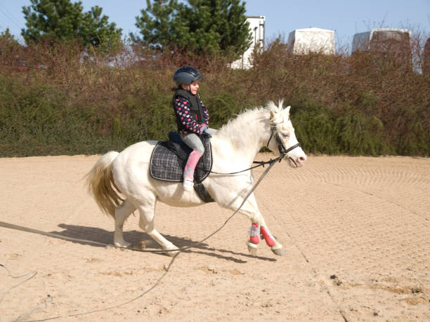 istock Girl on galloping pony 1088630378