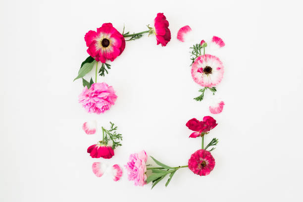 istock Floral frame with pink spring flowers on white background. Flat lay, Top view. Flowers texture. 1088638982
