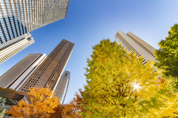 istock Autumn leaves and Shinjuku skyscraper group 1088640410