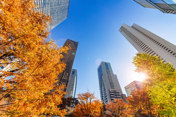 istock Autumn leaves and Shinjuku skyscraper group 1088640454