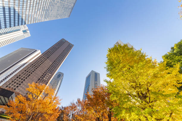 istock Autumn leaves and Shinjuku skyscraper group 1088640544