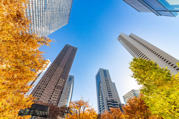 istock Autumn leaves and Shinjuku skyscraper group 1088640624