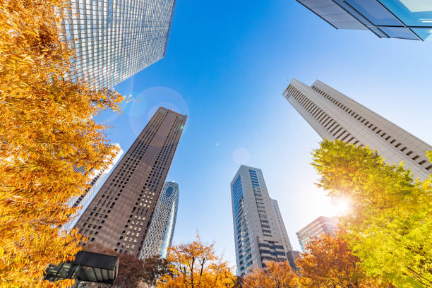 istock Autumn leaves and Shinjuku skyscraper group 1088640716