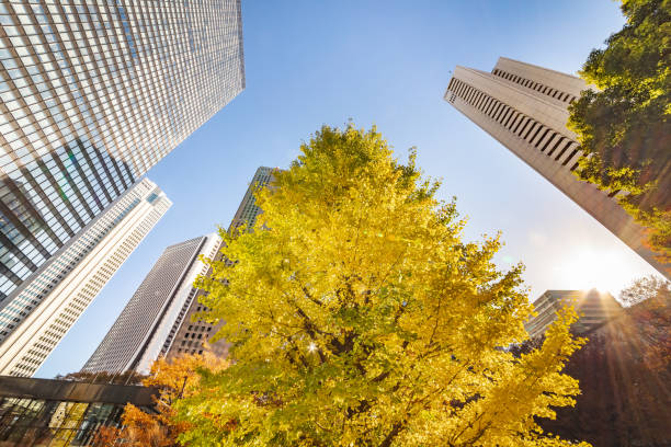 istock Autumn leaves and Shinjuku skyscraper group 1088640824