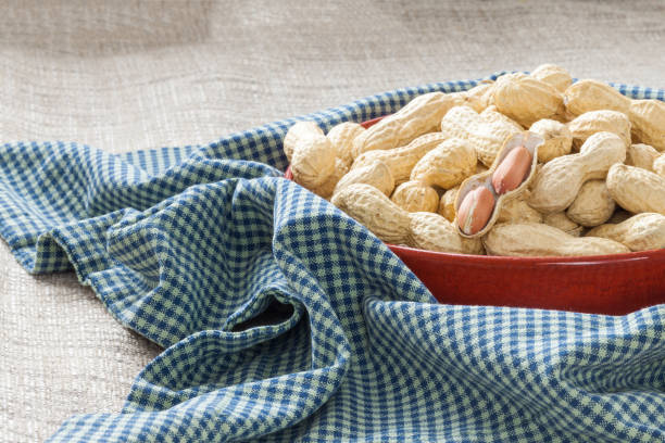 istock Peanuts in the peel on a beautiful red dish 1088645372