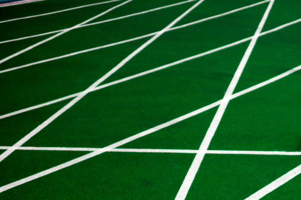 Soccer field with natural grass in a stadium,line