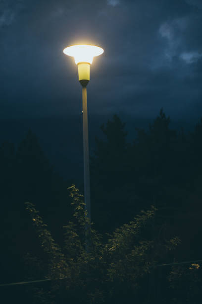 istock Street light at night in a bush tree 1088654442