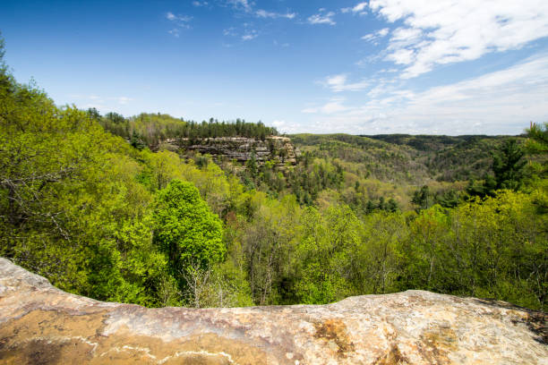 istock Kentucky Wilderness Mountain View At Natural Bridge State Park 1088657542