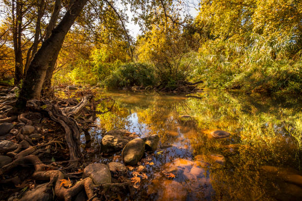 istock dan river & snir river, north israel 1088660448