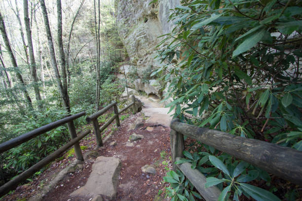 sentiero escursionistico al natural bridge state park in kentucky - natural bridge state park foto e immagini stock