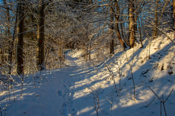 istock snow covered winter road with tire tracks 1088663592