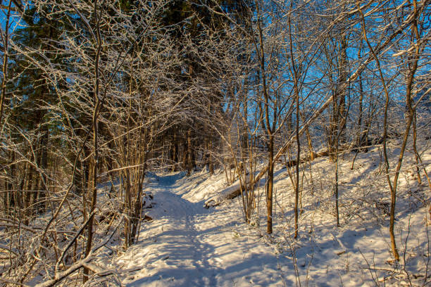 istock snow covered winter road with tire tracks 1088663606