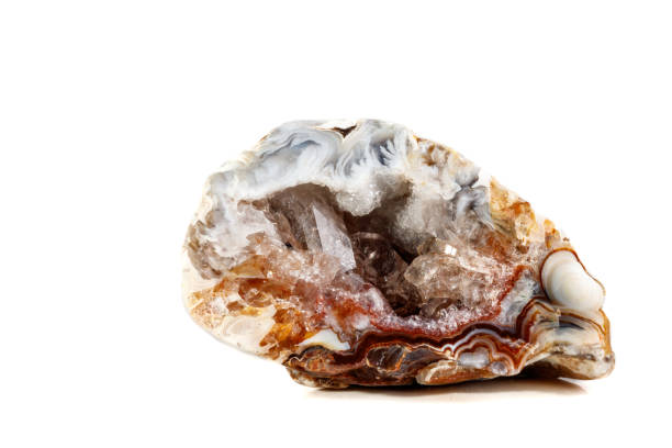 istock Macro mineral stone agate kidney gerbera on white background 1088665694