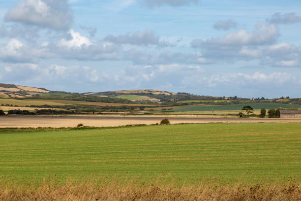 istock Rural Isle of Wight Landscape 1088668718
