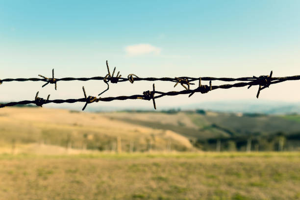 istock Close-up of barbed wire, defocused landscape on background 1088671102