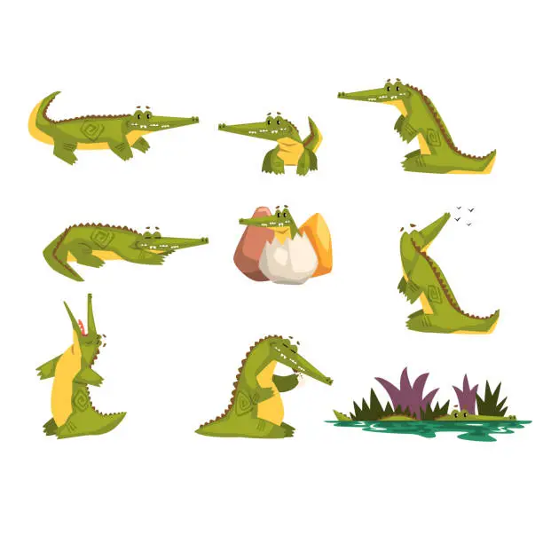 Vector illustration of Friendly crocodile in different poses set, funny predator cartoon character, roc daily activities vector Illustration