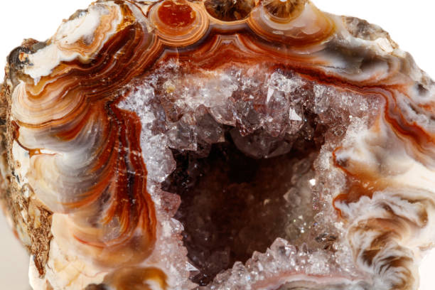 istock Macro mineral stone agate kidney gerbera on white background 1088674246