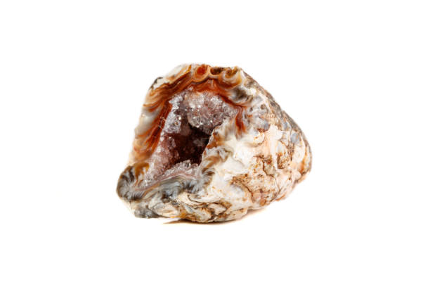 istock Macro mineral stone agate kidney gerbera on white background 1088674308