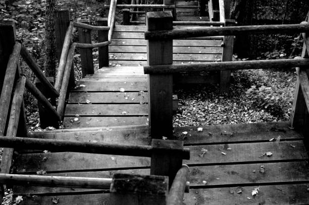 istock The pedestrian road from a board flooring in the wood 1088683034