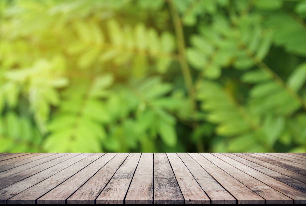 istock Old wood plank with abstract natural green leaf background for product display 1088683344