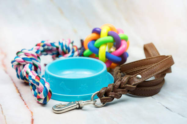 istock Pet leather leashes, brush and rubber toy. 1088683656