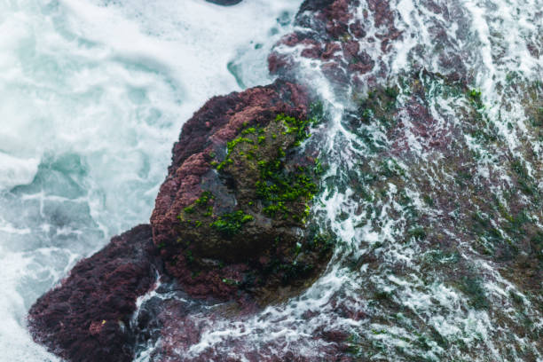 istock HIGH ANGLE VIEW OF ROCKS ON SEA SHORE 1088684010