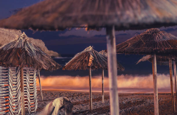 Palm umbrellas on the beach at night Palm Tree, Summer, Tropical Climate, night pinus pinea photos stock pictures, royalty-free photos & images