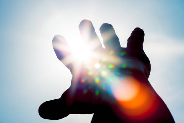 istock Reaching the sun 1088685858