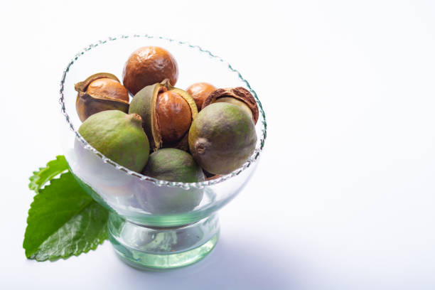 istock Fresh harvest of macadamia nuts, green macadamia nuts in shell and cracked nuts close up isolated 1088688648