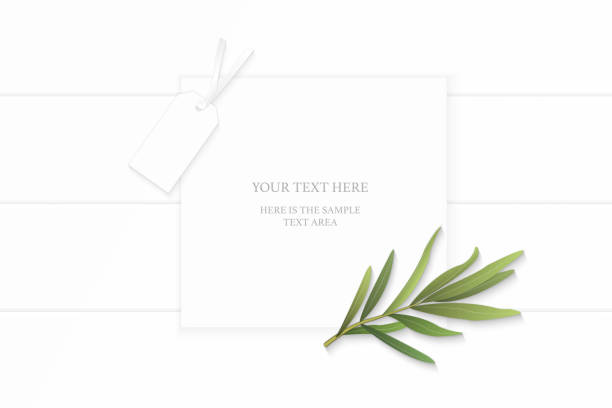 istock Flat lay top view elegant white composition paper brown tarragon leaf and cardboard tag on wooden background 1088690674