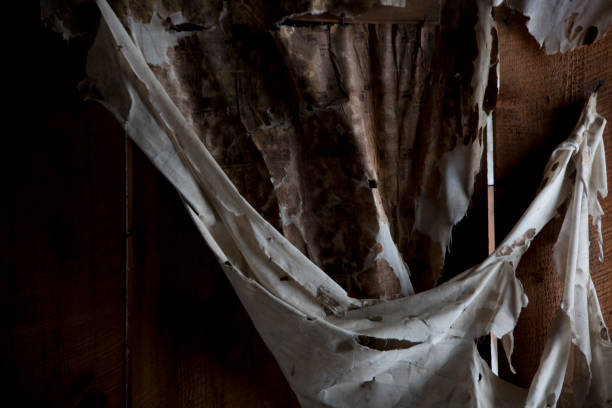 istock Old Weathered Wallpaper draped Elegantly to the Wall 1088691054